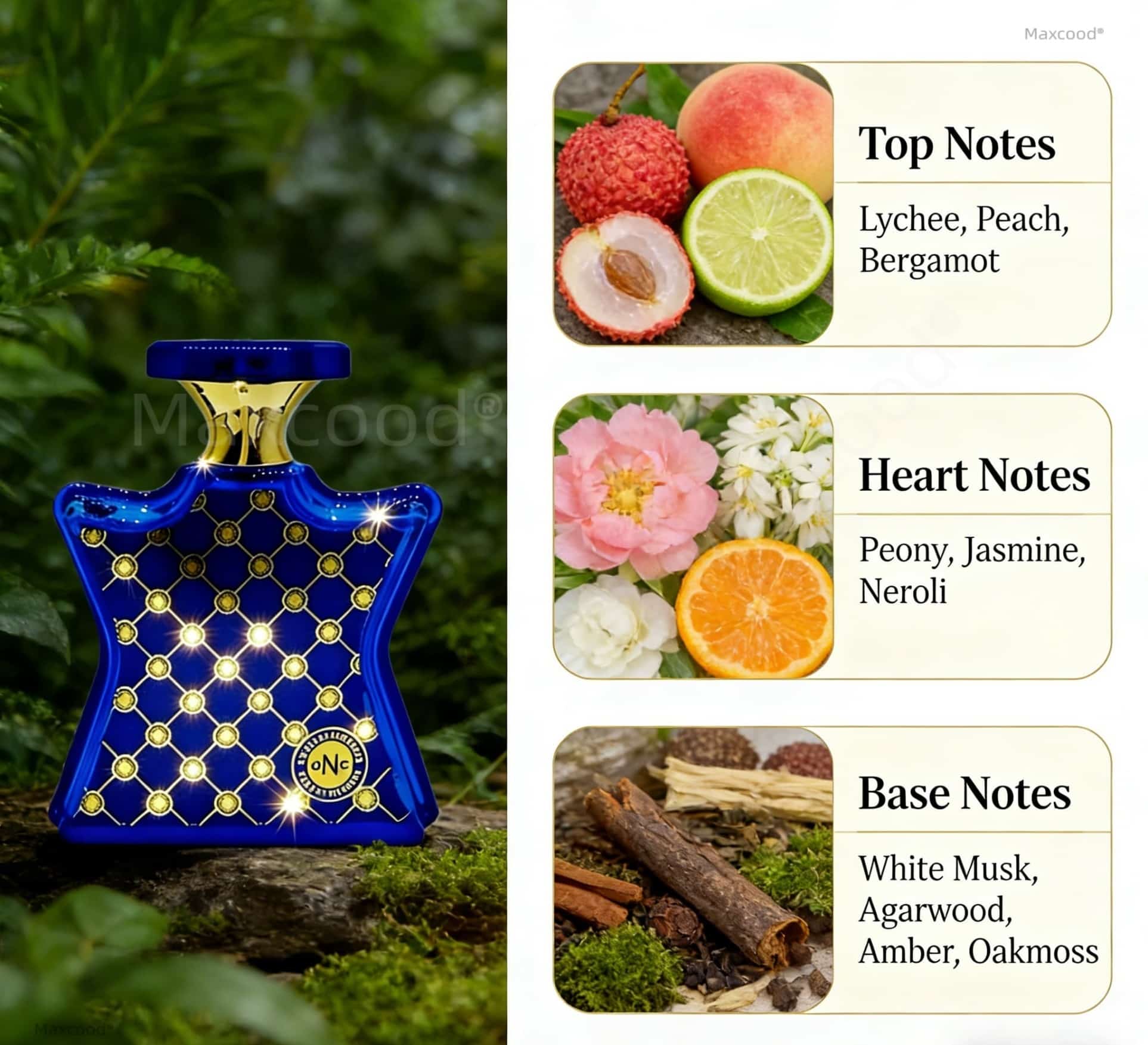 Parfum Jeruk dan Bunga Wangi T - Perfume High Fragrance ulasan dan harga