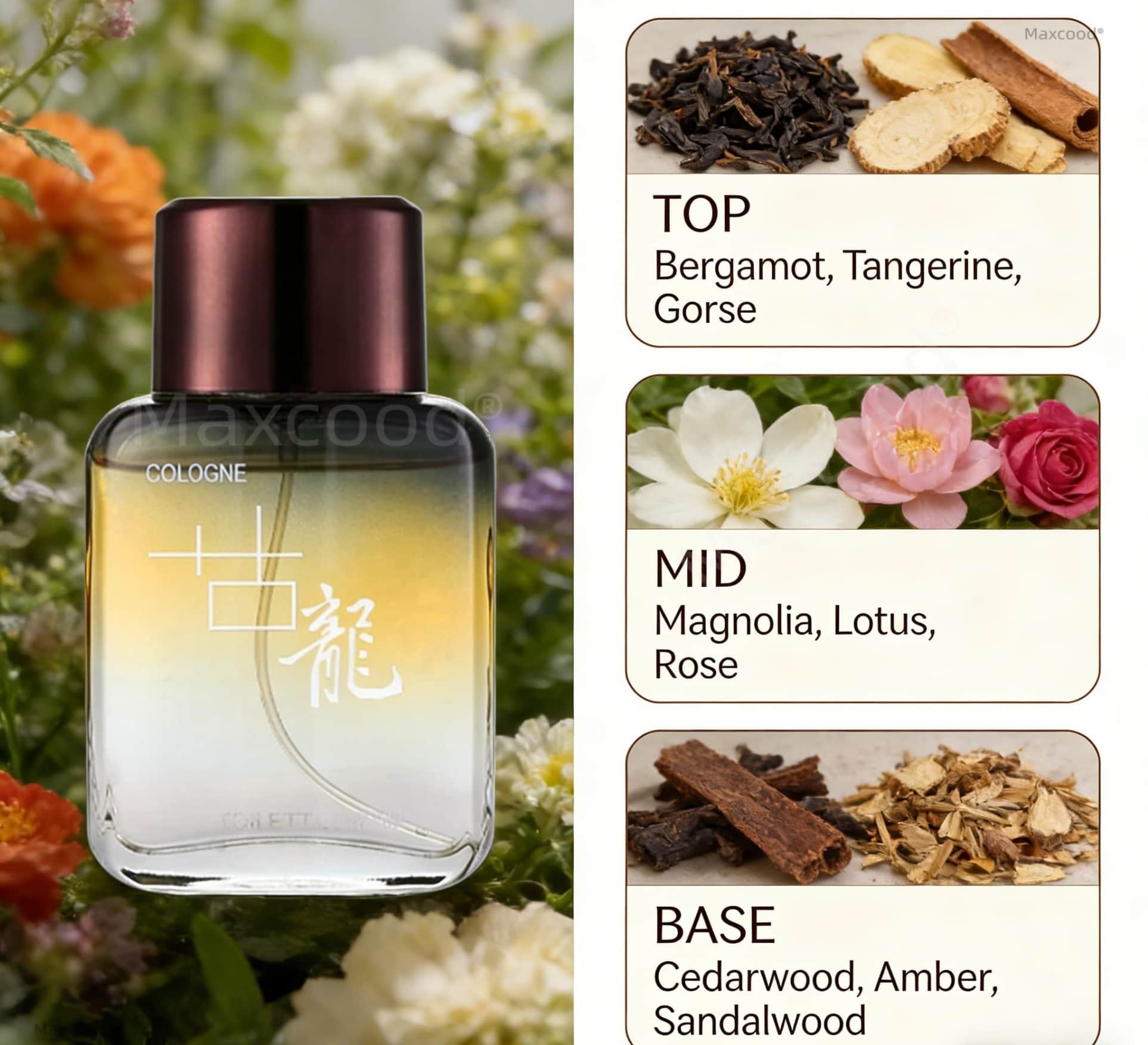 Maxcood A Citrus Men Cologne P - Perfume High Fragrance ulasan dan harga